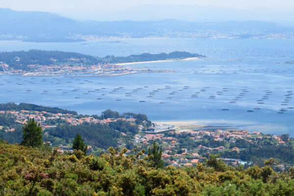 camping ria arousa playa