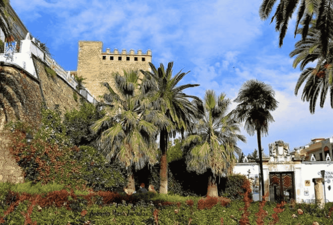 Cabra Cordoba