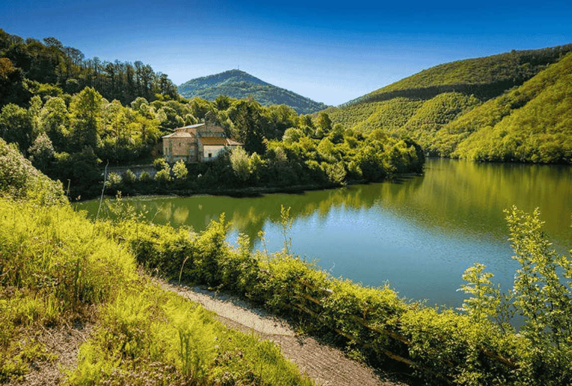 Redes asturias