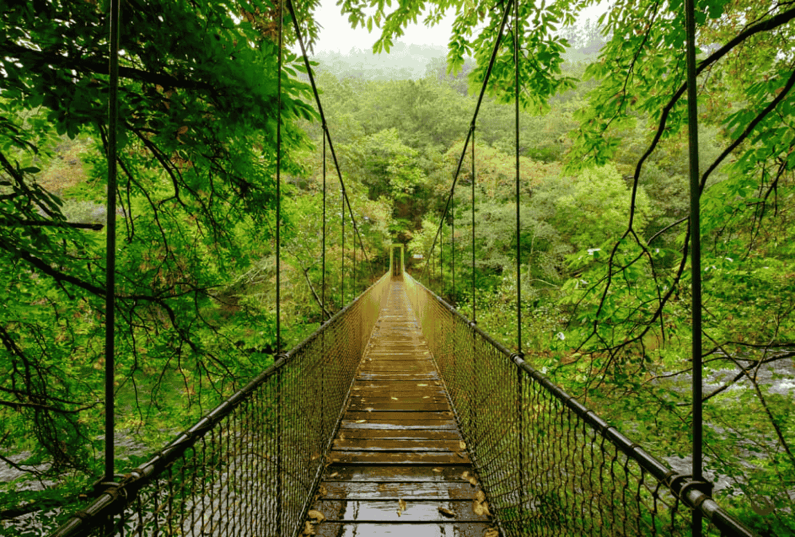 Parque Natural de las Fragas do Eume