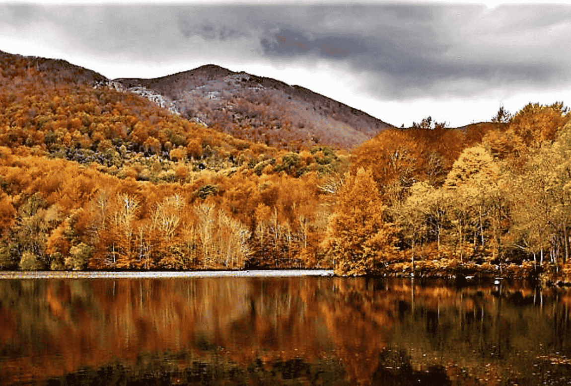 El Parque Natural del Montseny