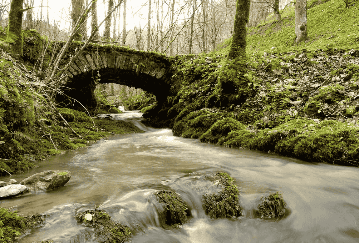 El Parque de la Naturaleza de Pagoeta