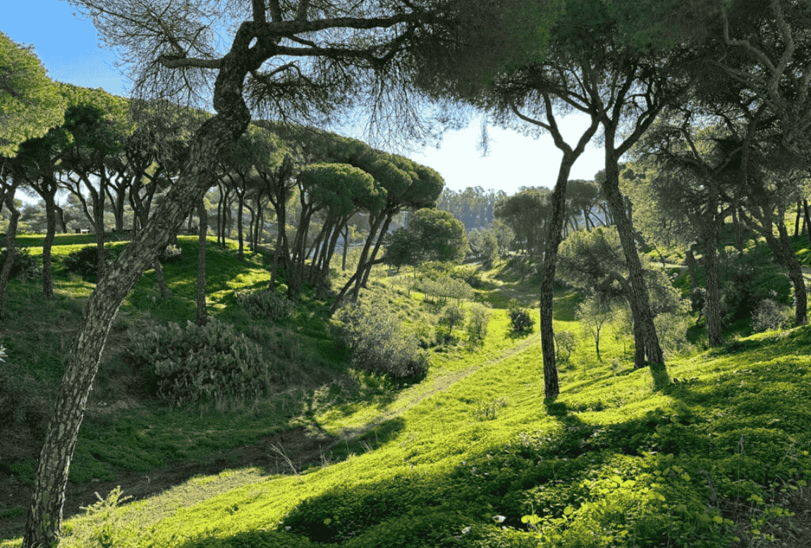 Parque Moret