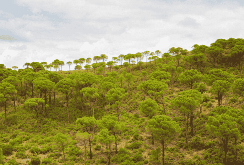 sierra de huelva