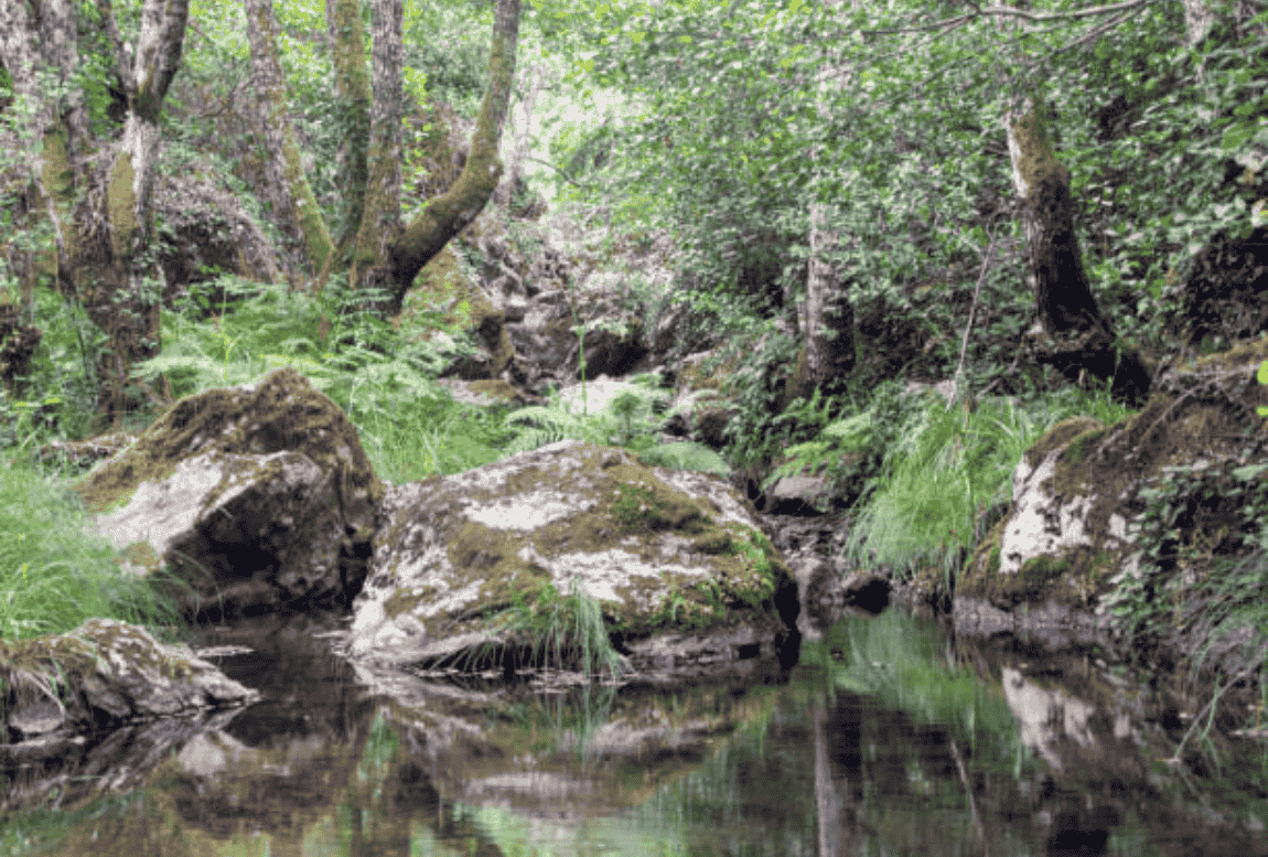 sierra de aracena