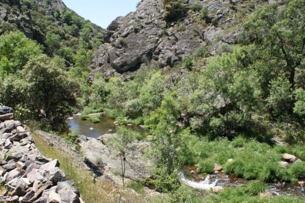 paisaje lincetur (2)