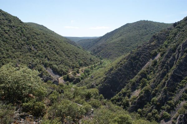 paisaje lincetur (3)