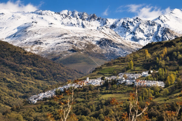 Sierra Nevada 2026 Seleccion-13 Sierra Nevada 2026 Seleccion-13