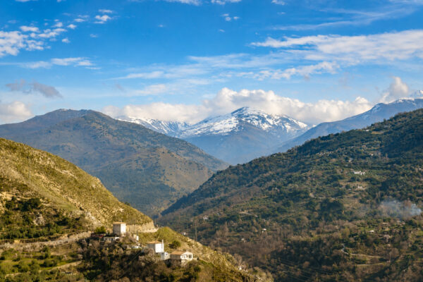 Sierra Nevada 2026 Seleccion-4 Sierra Nevada 2026 Seleccion-4